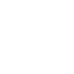 On a Whim Band